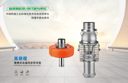 便携式永磁轴流泵